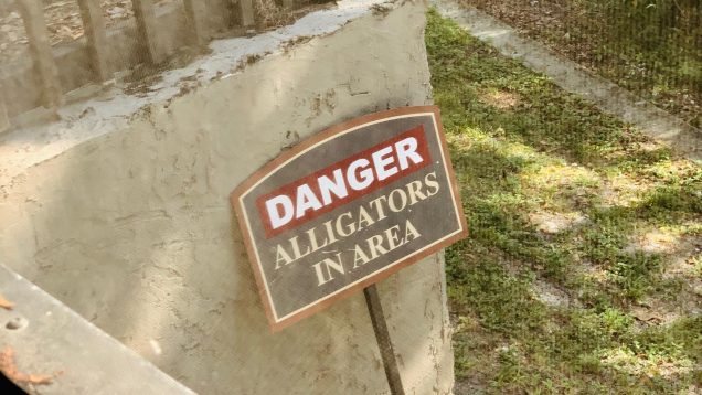 Danger Alligators